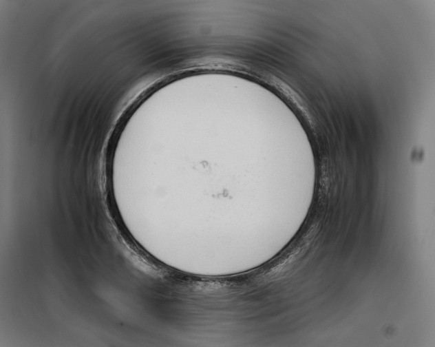 X0000099491082200806121347