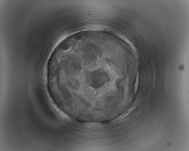 X0000099491083200806121347