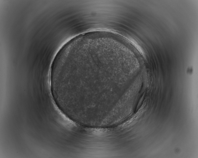 X0000099491084200806121347