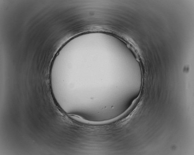 X0000099491089200806121347