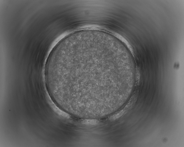 X0000099491090200806121347