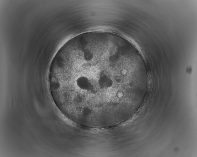 X0000099491091200806121347