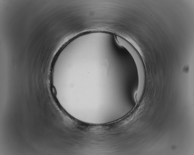 X0000099491093200806121347