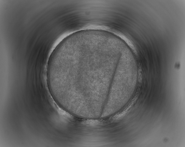 X0000099491094200806121347