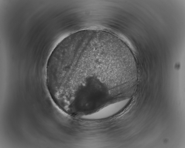 X0000099491095200806121347