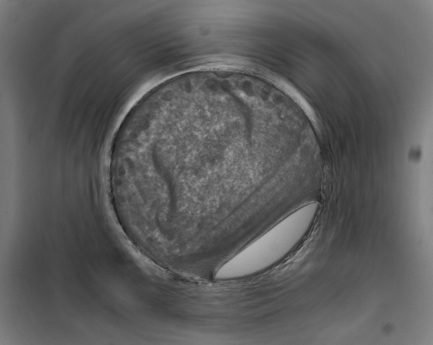 X0000099491099200806121346