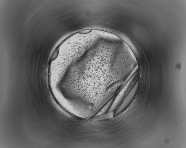 X0000099491100200806121346