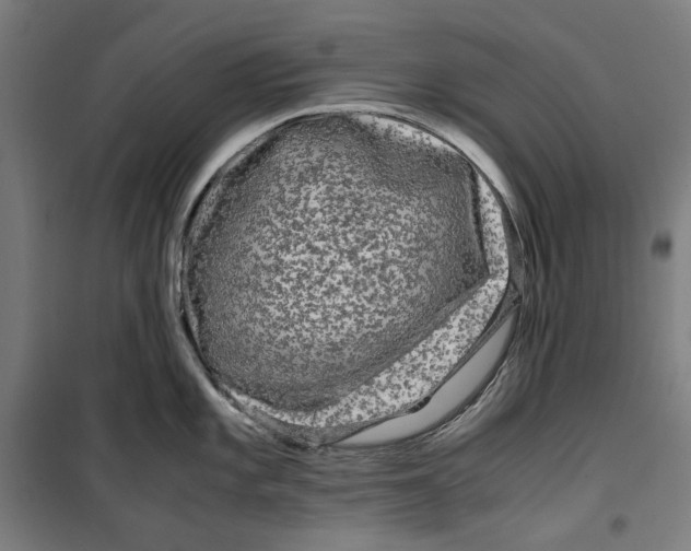 X0000099491101200806121346