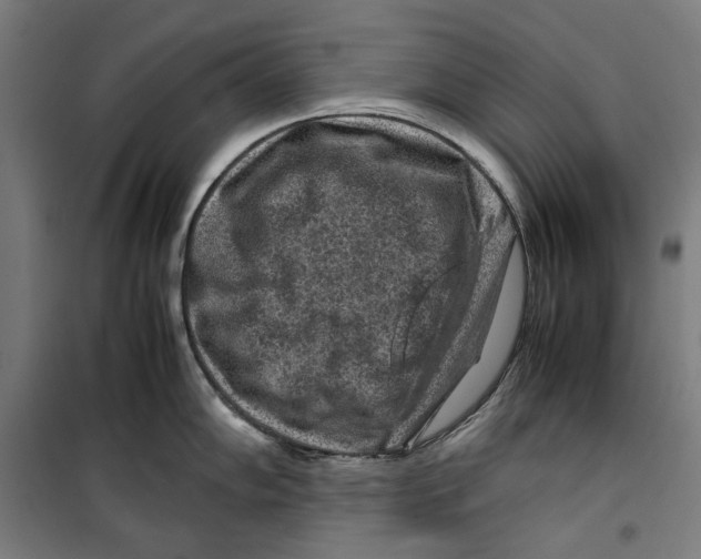 X0000099491102200806121346