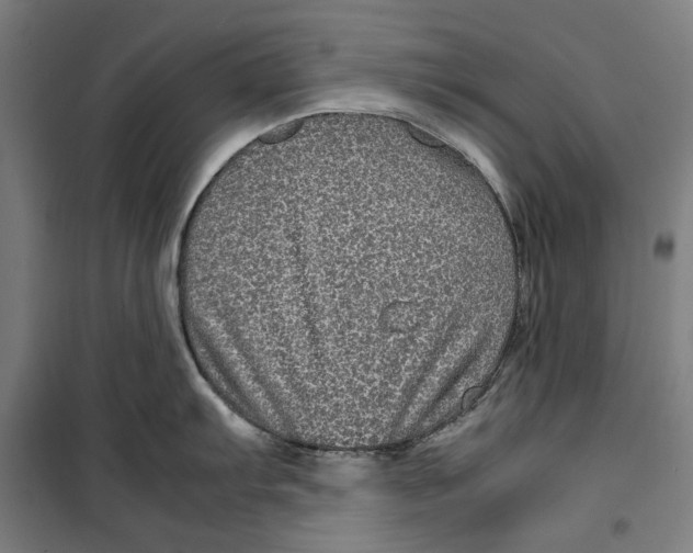 X0000099491103200806121346