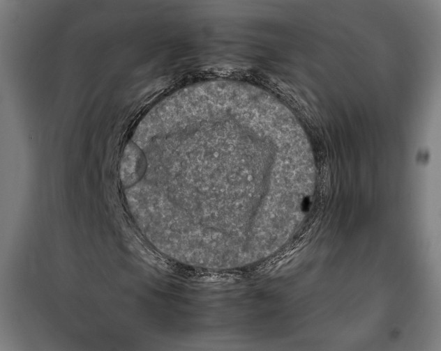 X0000099491105200806121346