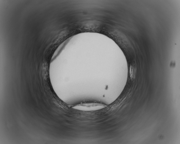 X0000099491107200806121346