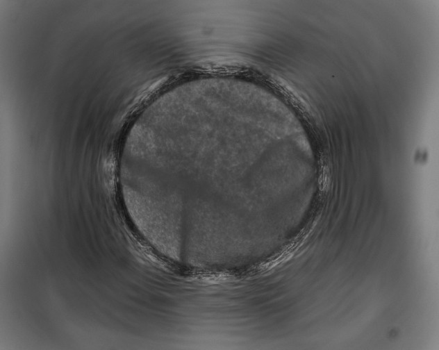 X0000099491108200806121346