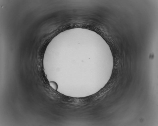 X0000099491109200806121346