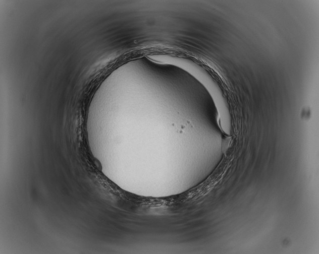 X0000099491111200806121346