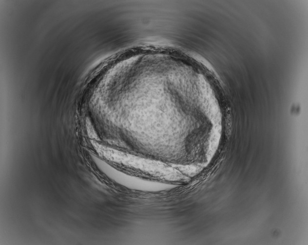 X0000099491112200806121346