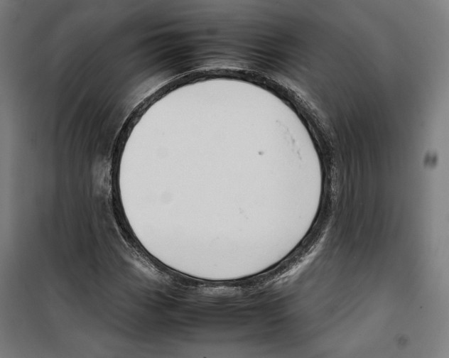 X0000099491113200806121346