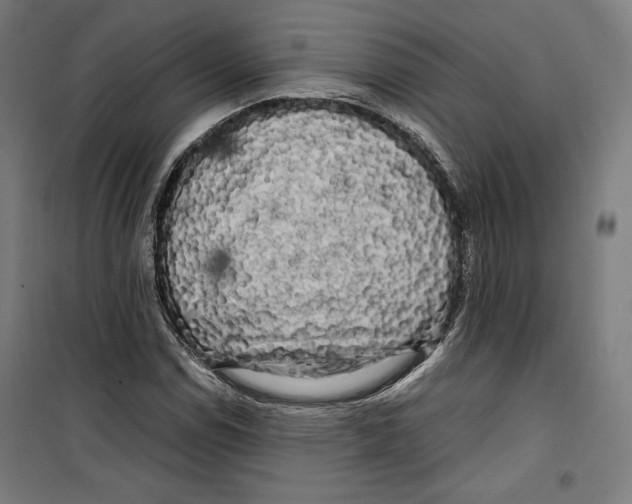 X0000099491114200806121346