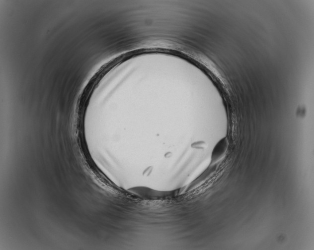 X0000099491116200806121346