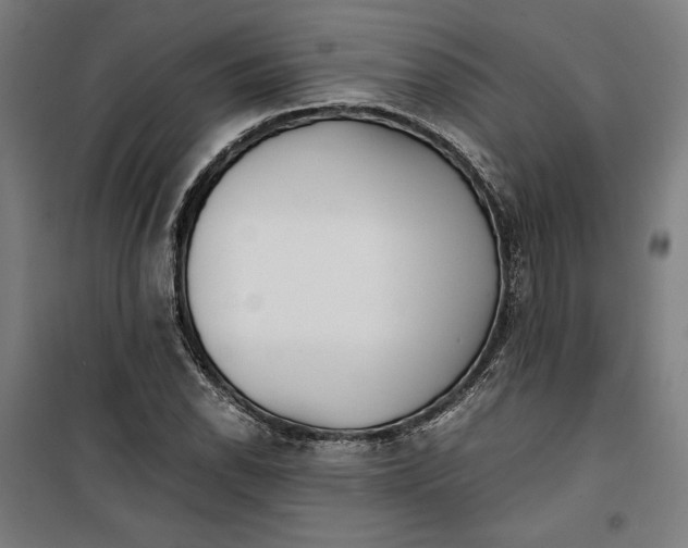 X0000099491118200806121346