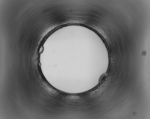 X0000099491119200806121346