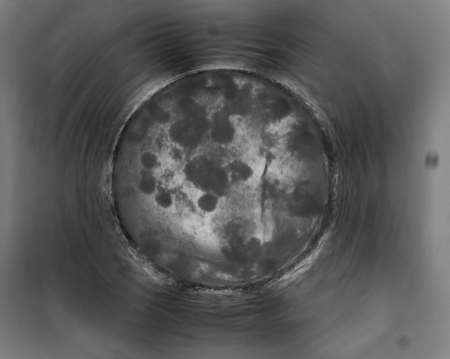 X0000099491121200806121346