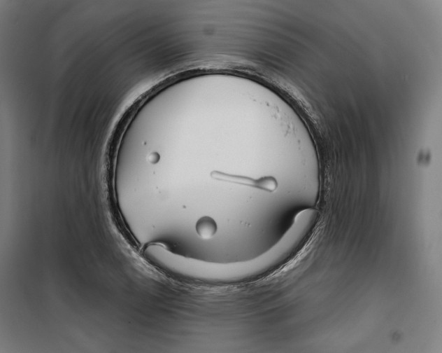 X0000099491122200806121346