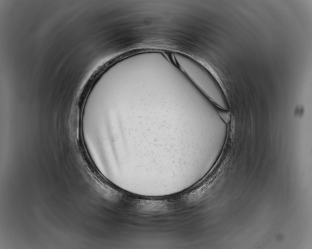 X0000099491123200806121346