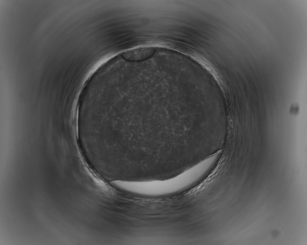 X0000099491127200806121346