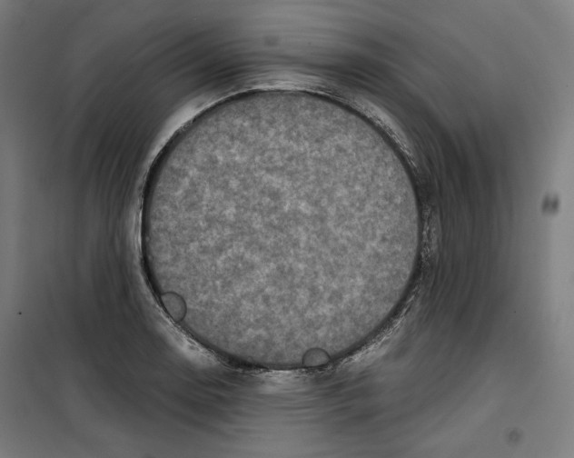 X0000099491130200806121346