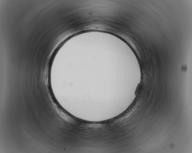 X0000099491131200806121346