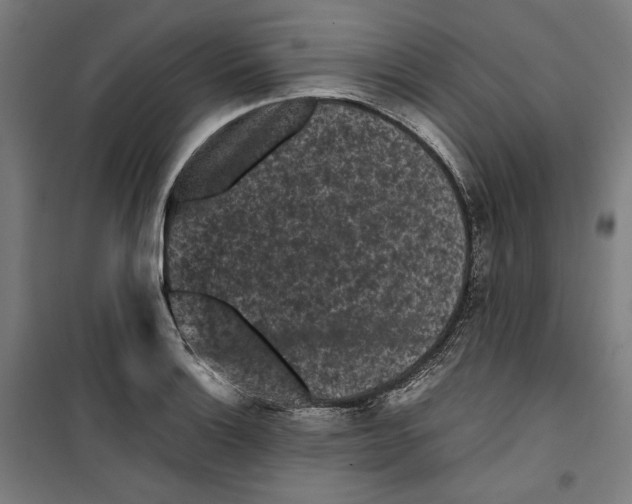 X0000099491132200806121346