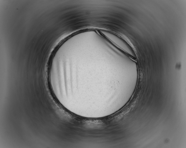 X0000099491133200806121346