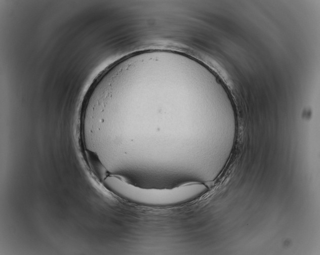 X0000099491136200806121346