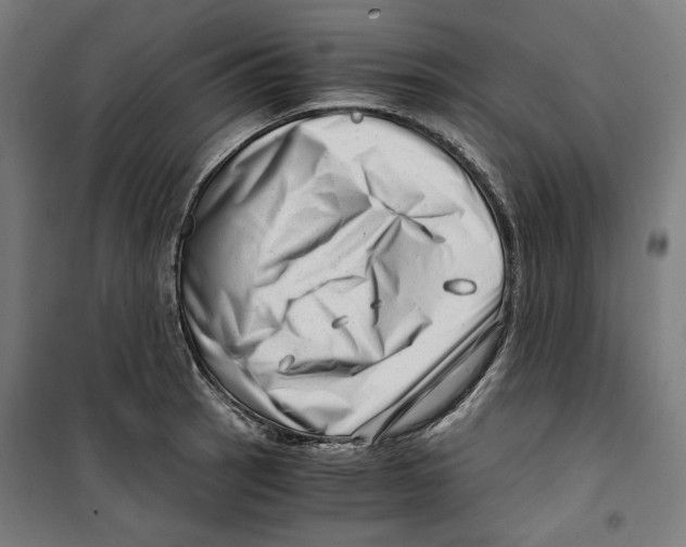 X0000099491137200806121346