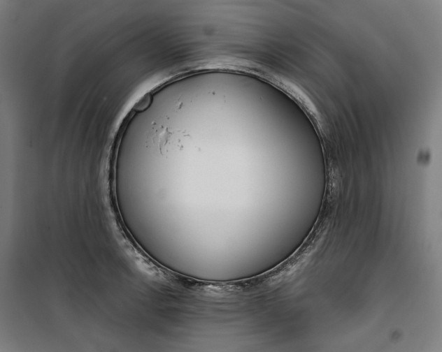 X0000099491138200806121346