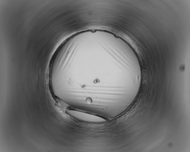 X0000099491140200806121346