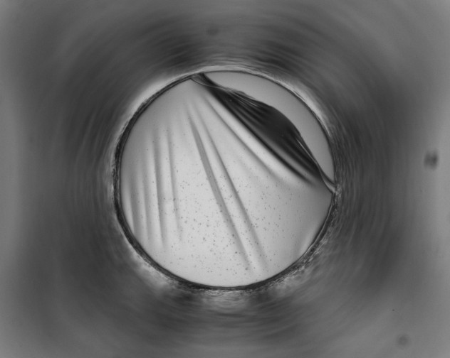 X0000099491143200806121346