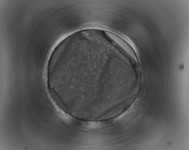 X0000099491144200806121346