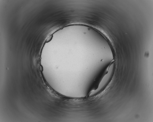 X0000099491145200806121346