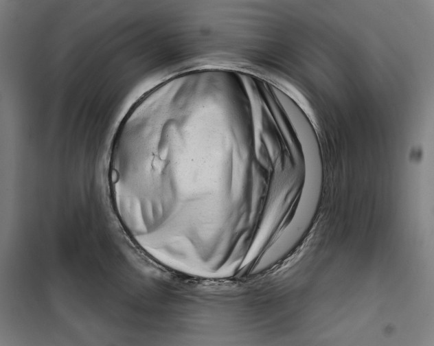 X0000099491146200806121346