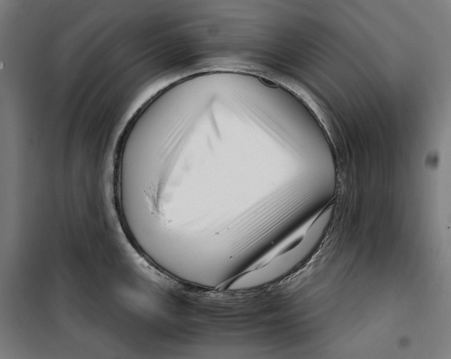 X0000099491147200806121346