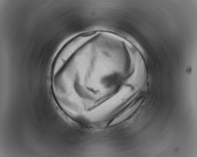 X0000099491148200806121346