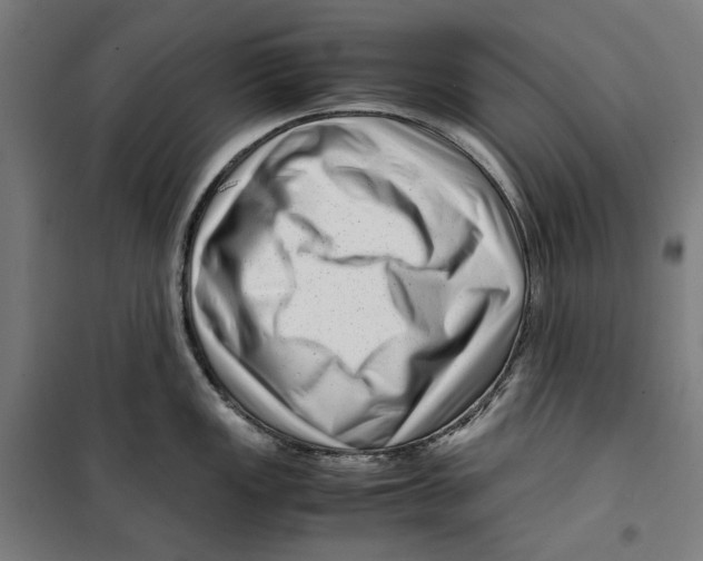 X0000099491149200806121346