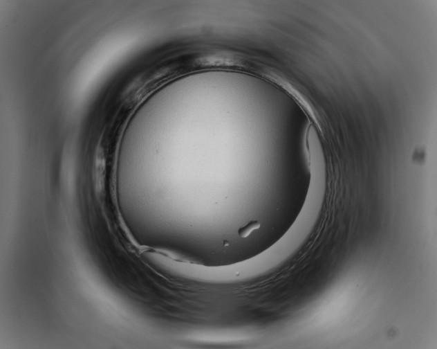 X0000099491151200806121346