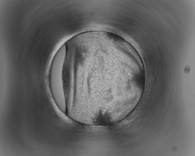 X0000099491152200806121346