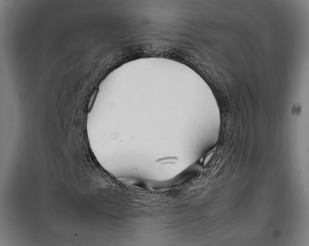 X0000099491153200806121346