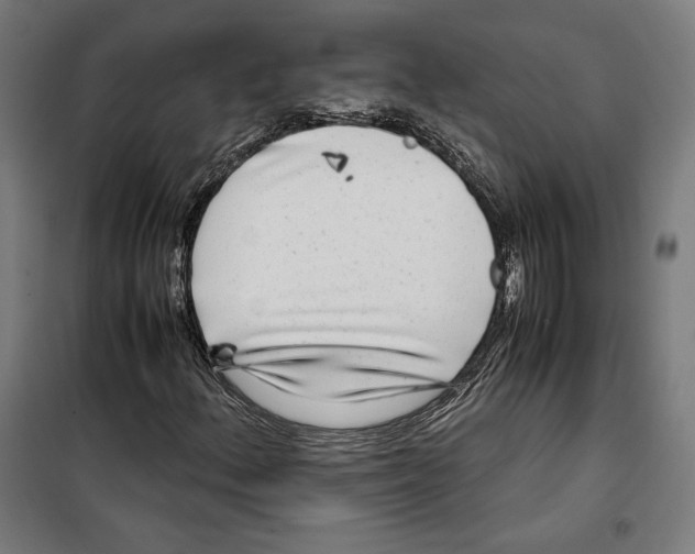 X0000099491156200806121346