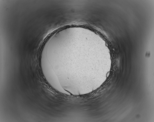 X0000099491160200806121346