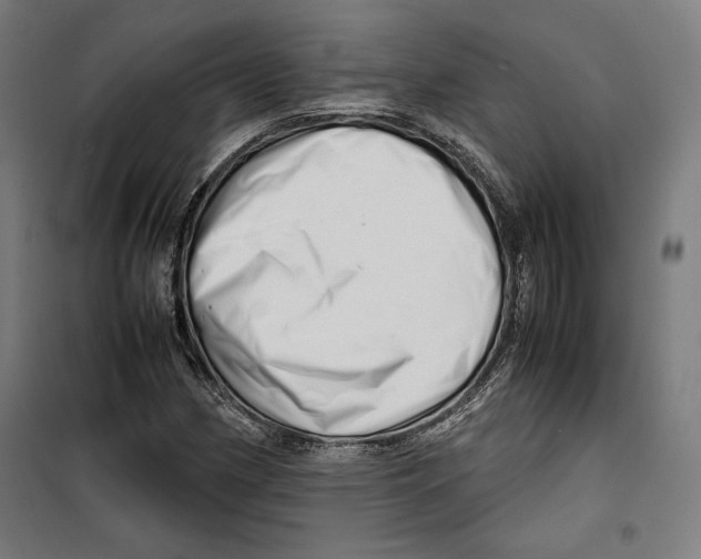 X0000099491162200806121346